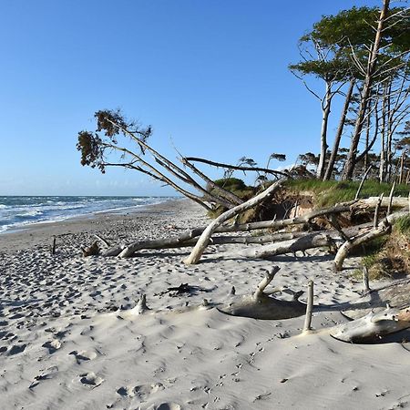 Strandhafer An Der Seebruecke Zingst Exterior foto