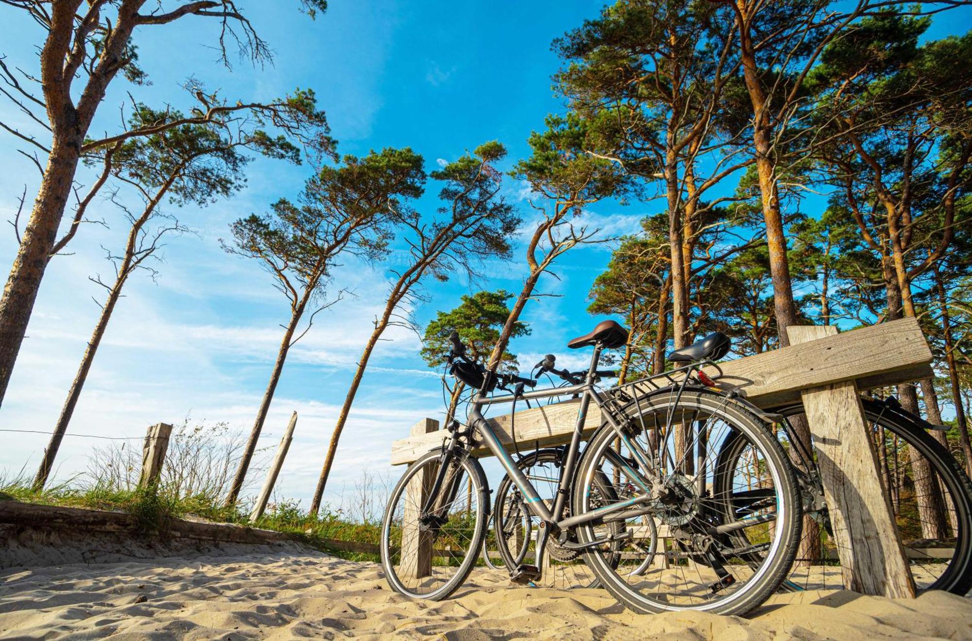 Strandhafer An Der Seebruecke Zingst Exterior foto