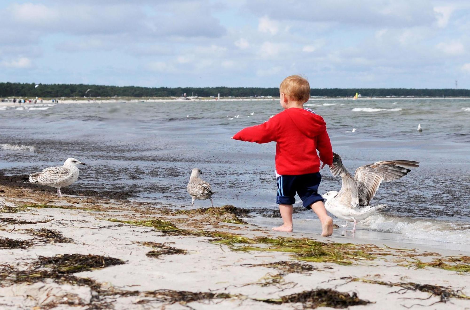 Strandhafer An Der Seebruecke Zingst Exterior foto